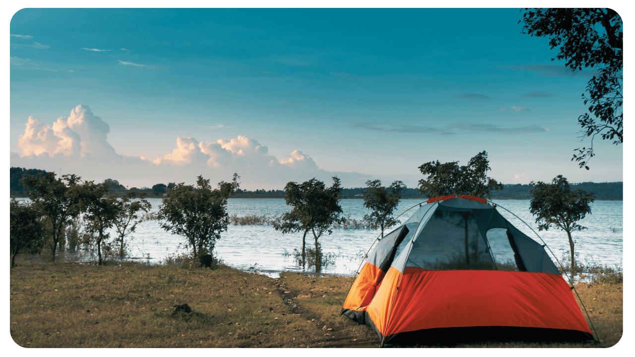 Article generic image